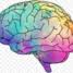 Douglasville Neurology Associates