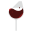 Douro & Porto Wine Festival