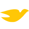 Dove Travels