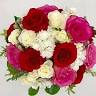 Draeger's Floral
