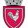 Primăria Dragomirești