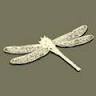 Dragonfly Clothing Ltd