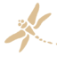 Dragonfly Florist