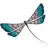 Dragonfly Lifestyle