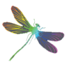 Dragonfly Dry Goods