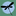 Dragonfly Yoga and Fitness