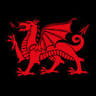Dragon Hydraulics (North Wales) Ltd