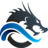 Dragon Internet Marketing