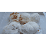 Dragon Beard Candy