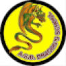 A.s.d. Dragon's School