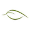 Drake Cremation & Funeral Services