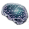 Neurologista - Dr. André Sobierajski dos Santos
