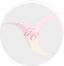 Docteur Cammilleri