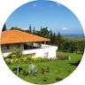 Dream View Estate