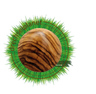 Drechselplanet