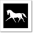 Dressage Extensions