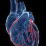 Dr. Fernando Ramos de Mattos - Cardiologista - Alphaville/SP