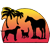 Driftwood Animal Hospital