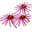 Hoosier Herbal Remedies Inc