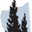 Kilgore Family Dentistry, PC