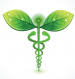 Dr. Julie Lachman, ND LLC