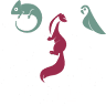 Dr Coquelle Vétérinaire NAC