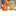 Drugstore-Kaska toiletries, paints-varnishes, garden, houseware