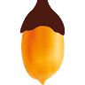 Dr. Peanut