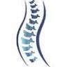 Mahoney Family Chiropractic