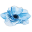 Bloom Dental