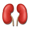 Prof ( Dr ) Sree Bhushan Raju, Nephrologist, NIMS, Hyderabad, Telangana, India