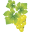 Druivenparadijs