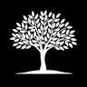 DS Tree Services