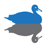 Duck Brothers Real Estate and Property Management