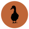 Duckfat