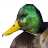Duck Island RV Park and Fishing Resort - All campers and guests must be 18 years of age or older.