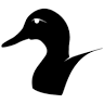 ducktote.com