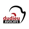Dudieu ip expertise