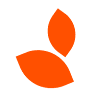 Dümmen Orange Guatemala