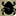 Dung Beetle Solutions Australia