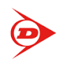 Fenner Dunlop Italia Srl
