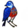 Dunn Wright Estate Services