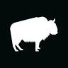 The Durham Ox