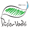 Düşler Vadisi Riva