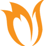 Dutch Accounting House BV