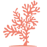 Dutch Reef BV