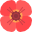 dutchSilk