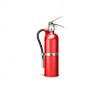 DV Protection
