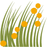Dyck Arboretum of the Plains