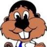 Eager Beaver Lawn Care INC